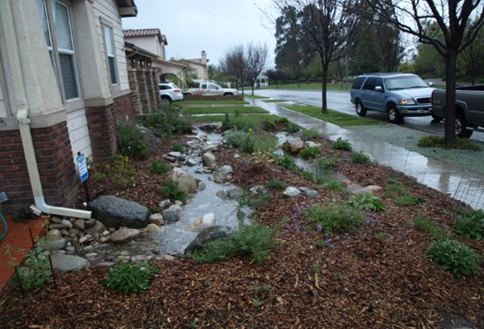 Ocean friendly garden in front of a home